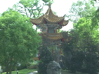 Qi Gong